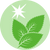 Frost Moon, Herbal Tea Blend