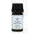 Camphor Essential Oil