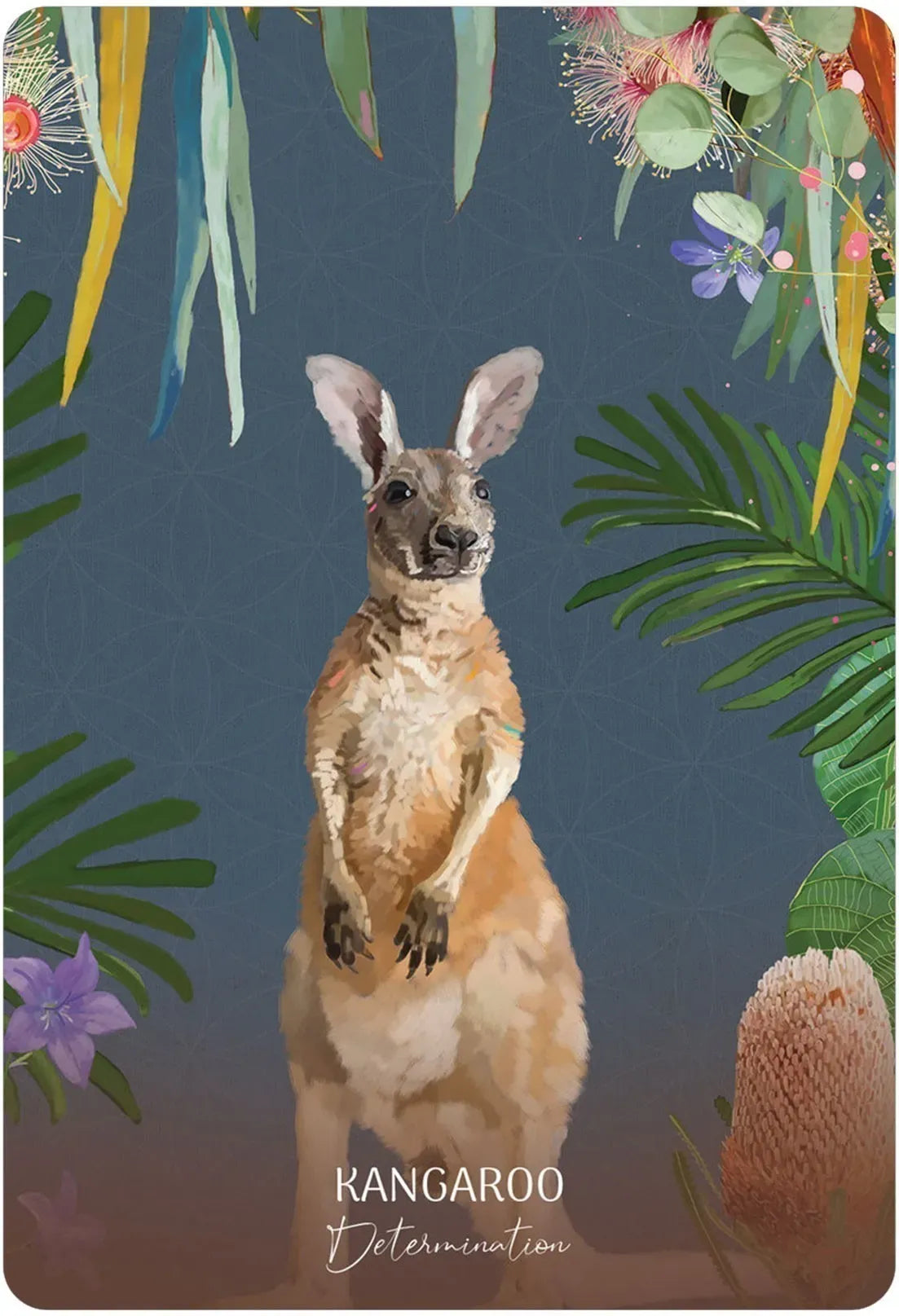 Wild Wisdom Australia