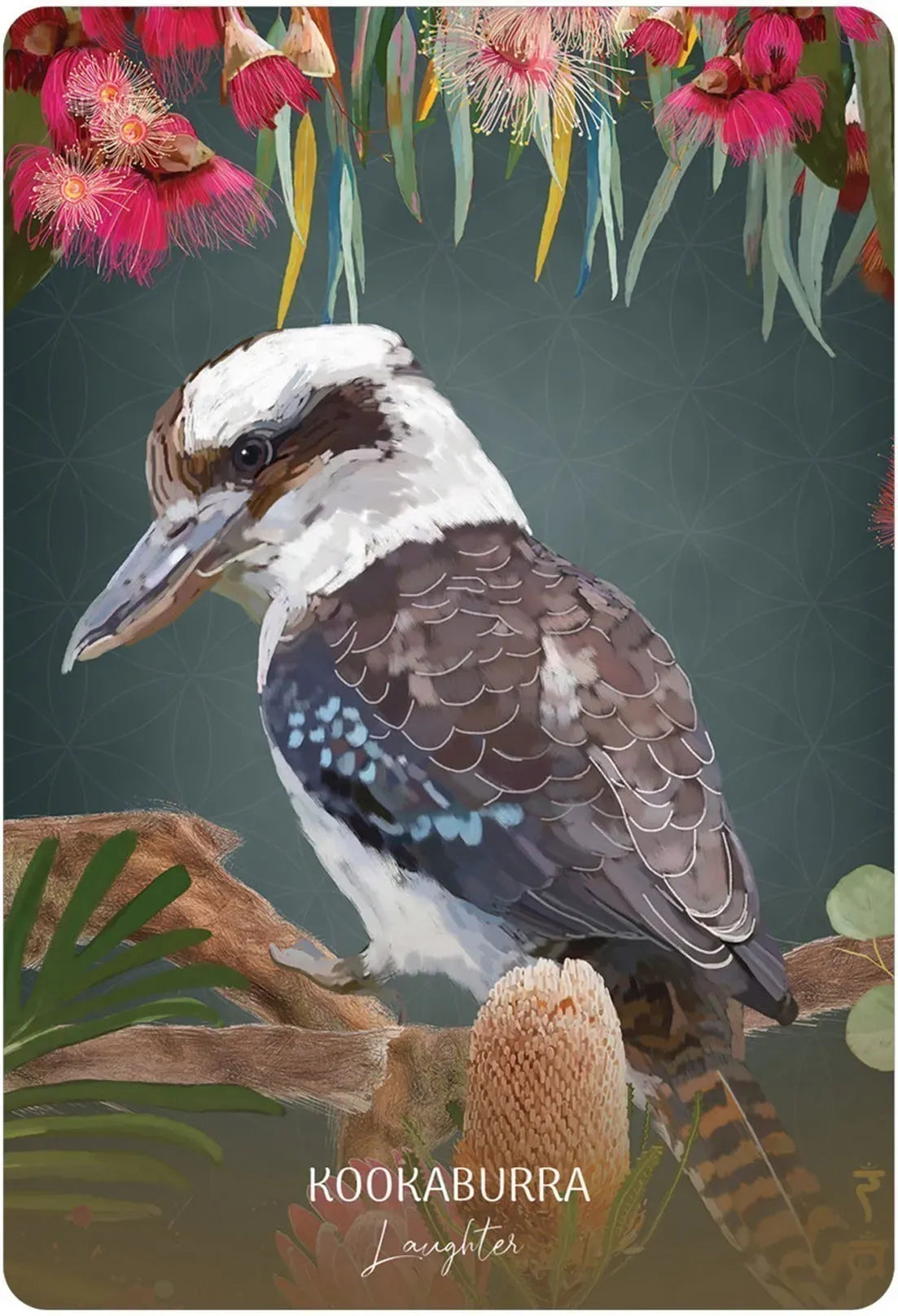 Wild Wisdom Australia