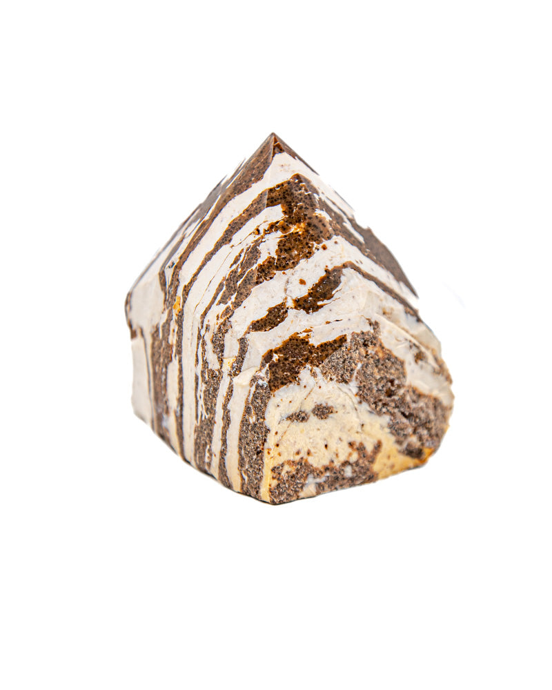 Zebra Jasper Power Point