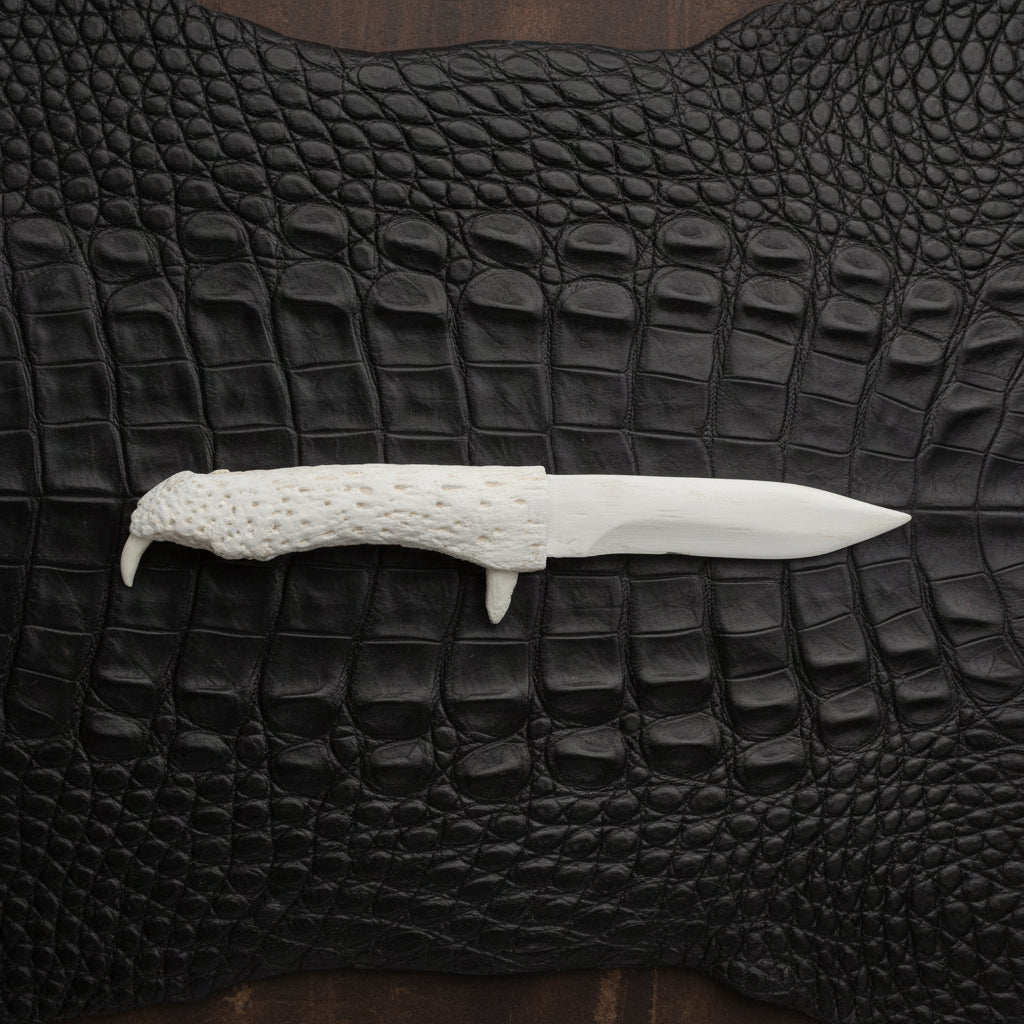 Alligator Jawbone Knife