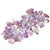 Amethyst Points & Rough