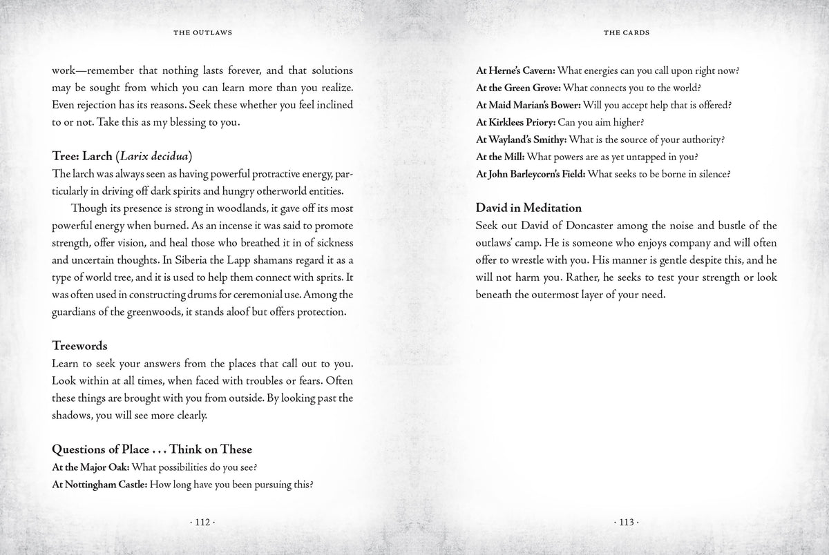 The Sherwood Oracle: Hidden Lore of the Wild Forest