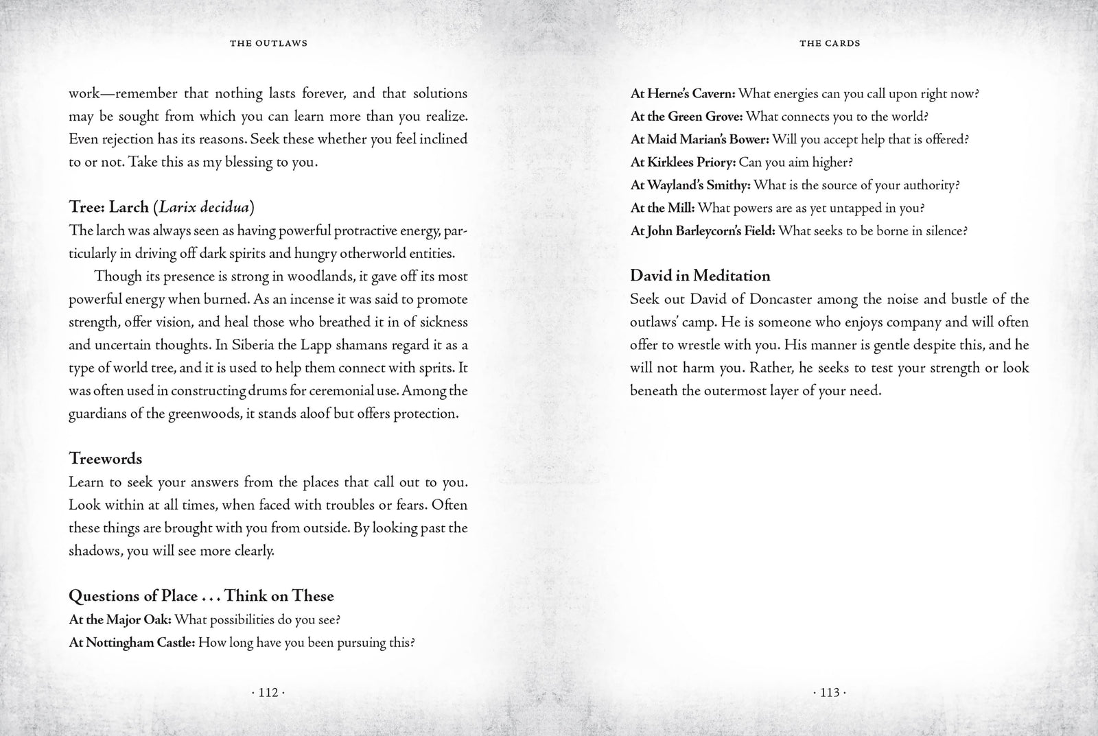 The Sherwood Oracle: Hidden Lore of the Wild Forest