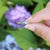 Tiny Claddagh Ring