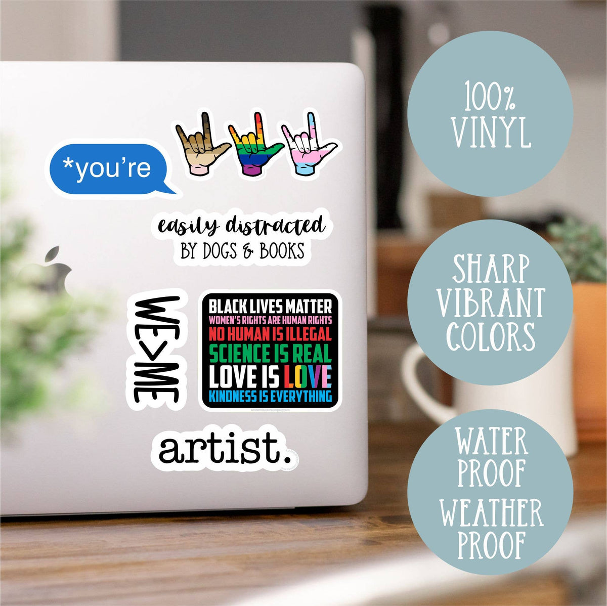 A woman's place is in the resistance Leia sticker