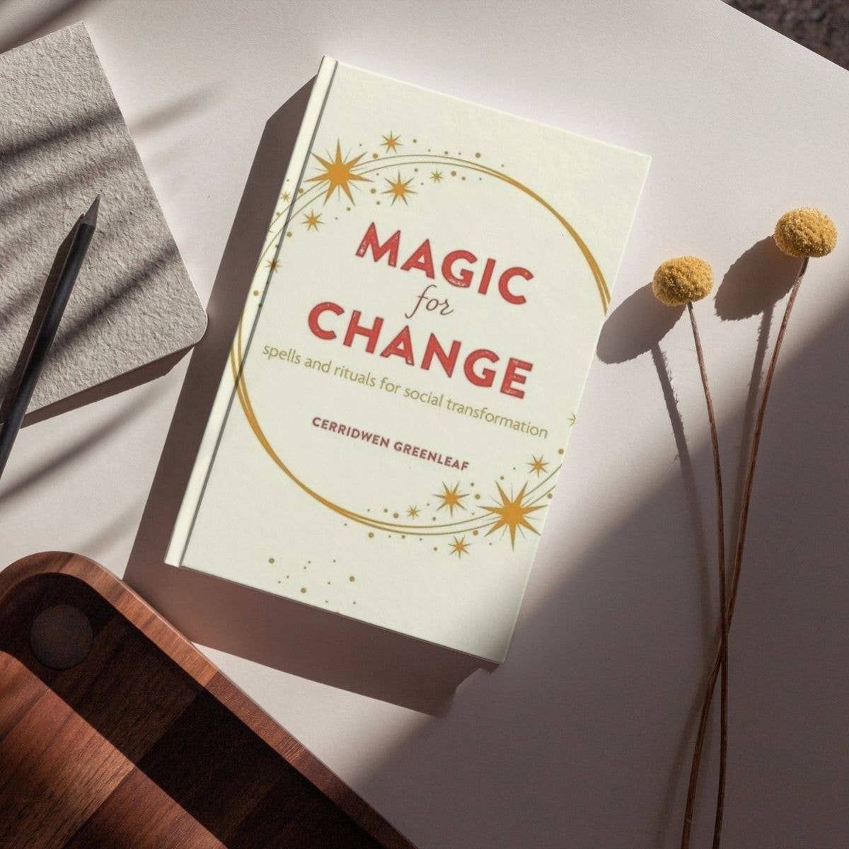 Magic For Change