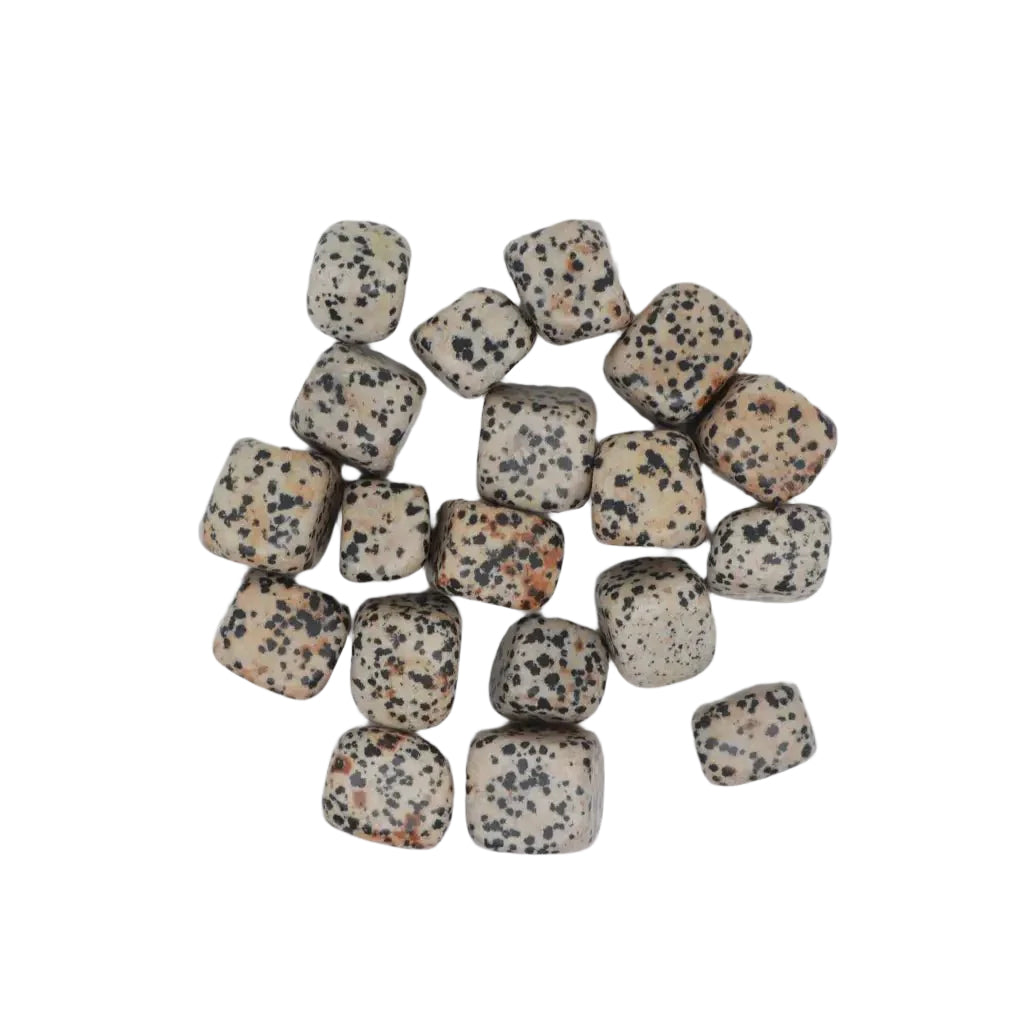 Dalmatian Stone Tumbled