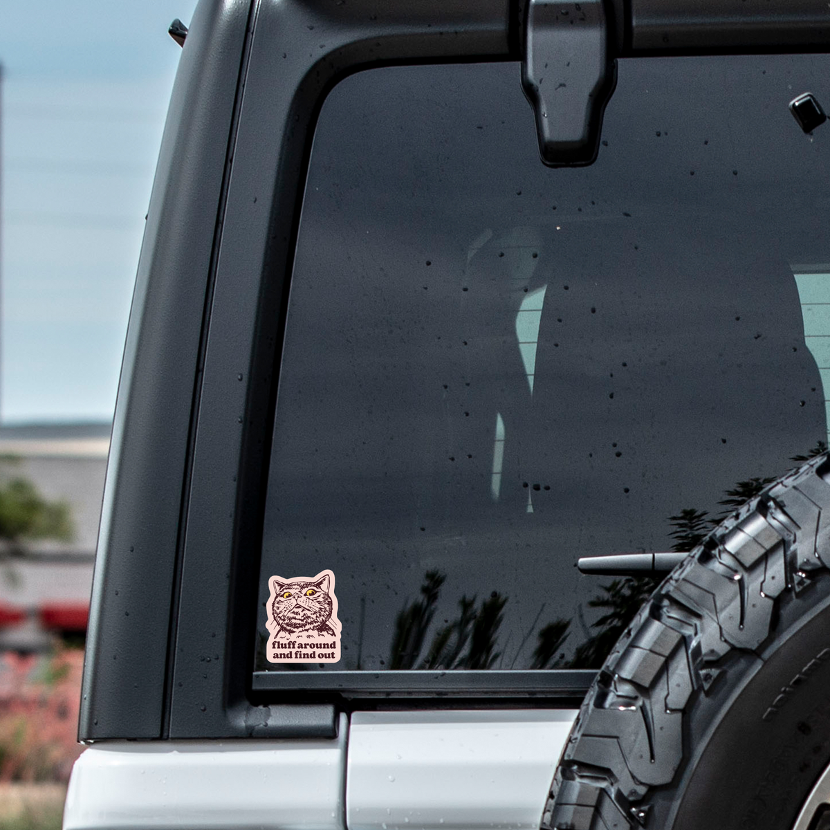 Fluff Around & Find Out Cat High Quality Vinyl Sticker