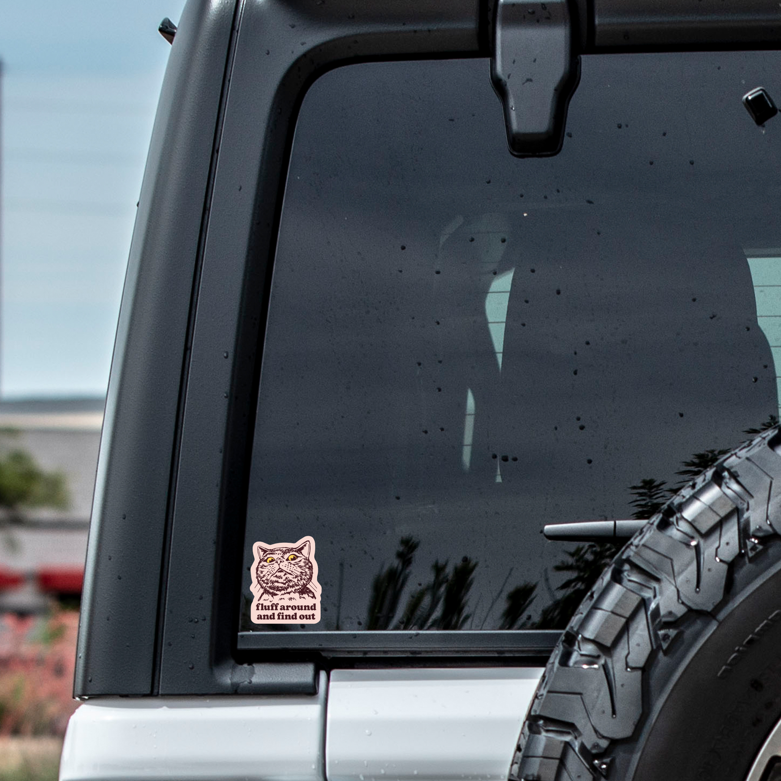 Fluff Around & Find Out Cat High Quality Vinyl Sticker