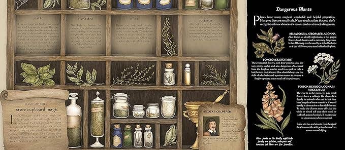 A Natural History Of Magick (Folklore Field Guides)