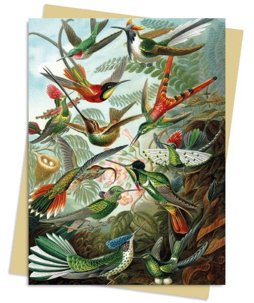 Ernst Haeckel: Hummingbirds Greeting Card