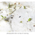 I Only Have Eyes for You Spider Plantable Herb Seed Card