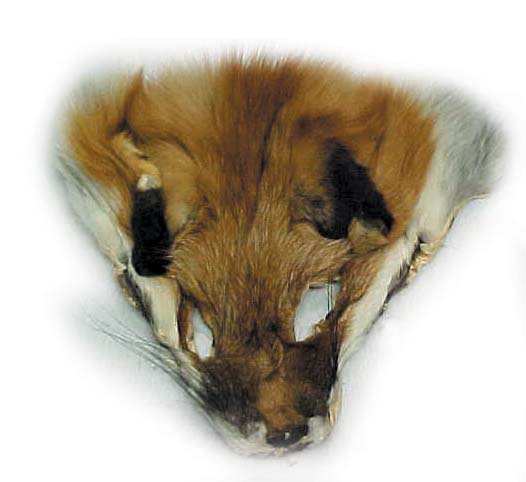 Fox Face (pelt)