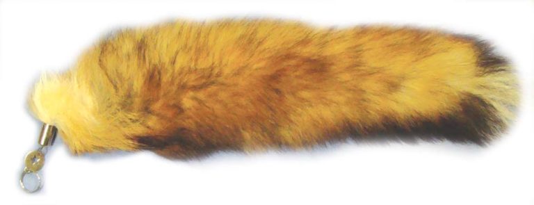 Fox Tail