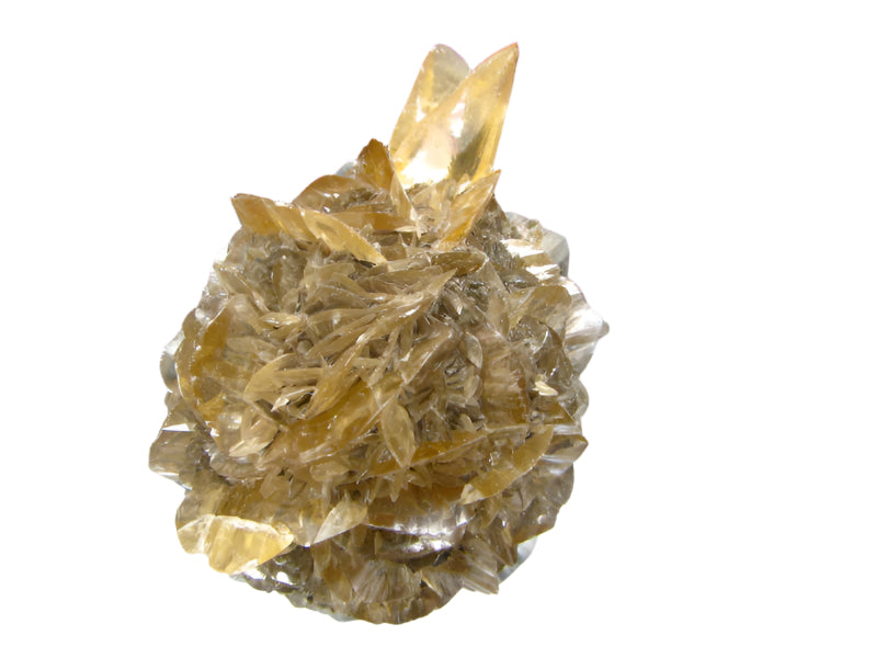 Gypsum Canada in Perky Box