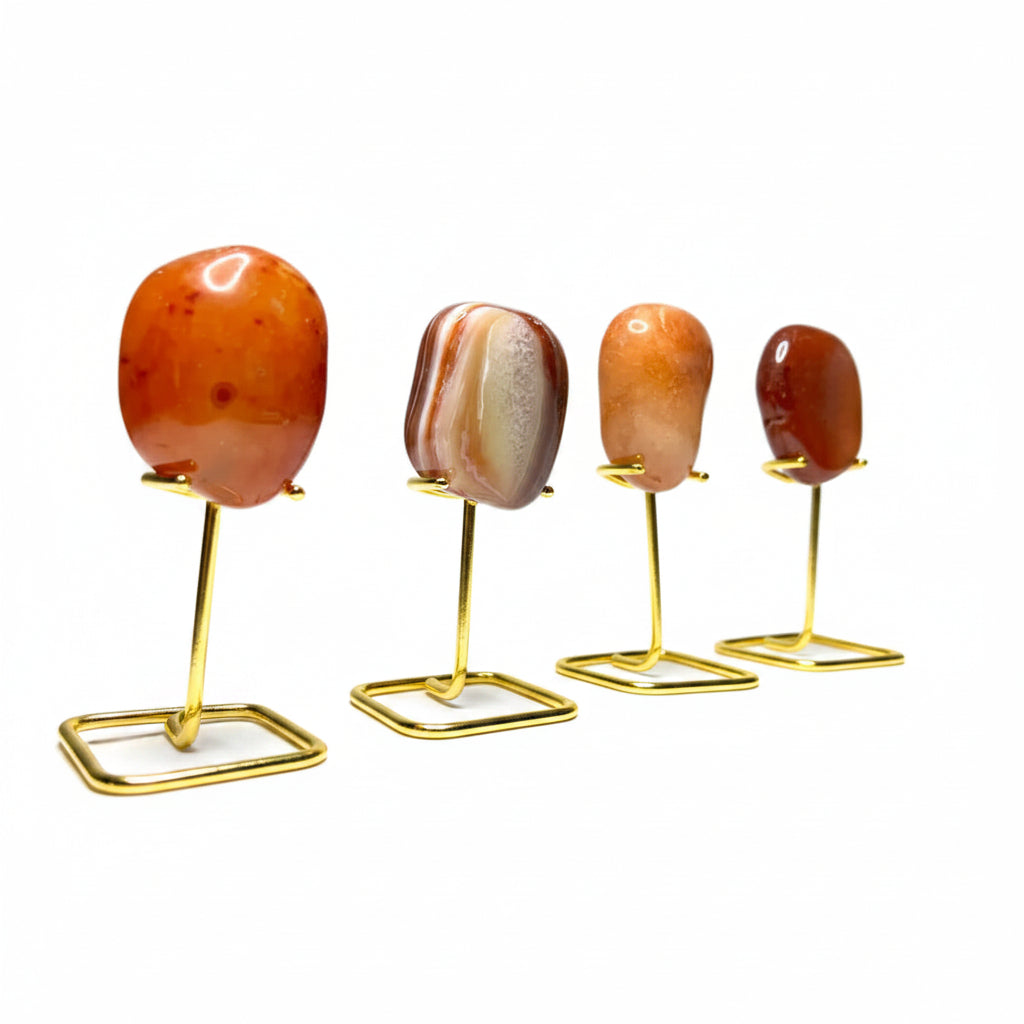 Carnelian Tumble on Stand 3"