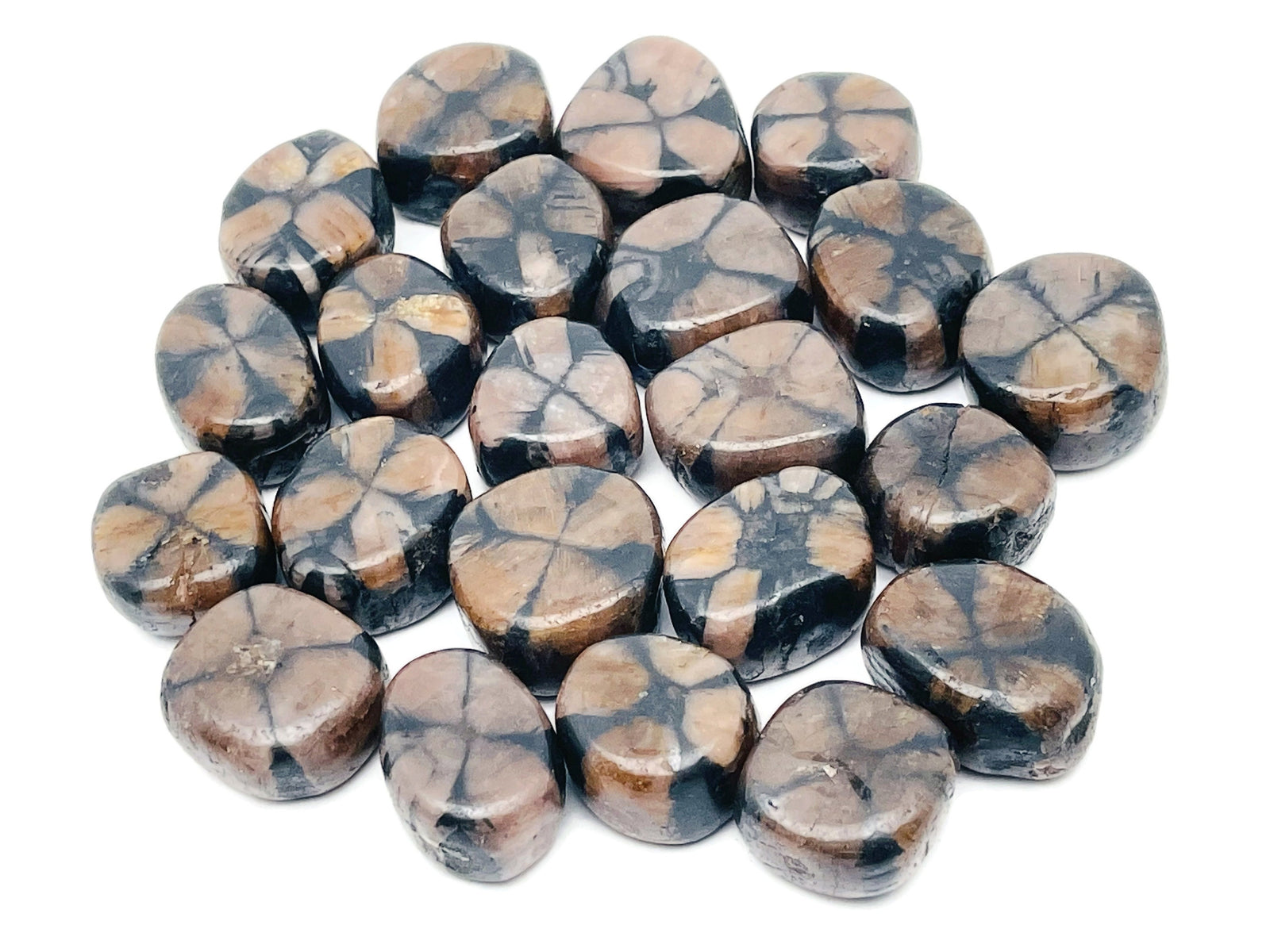 Chiastolite Tumbled