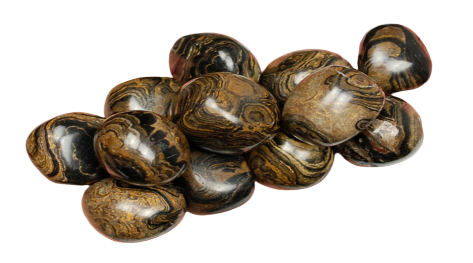 Stromatolite Tumbled