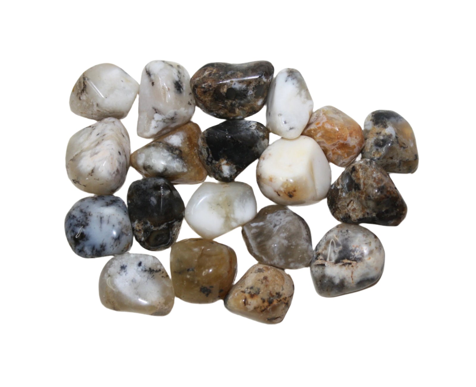 Dendritic Agate Tumbled