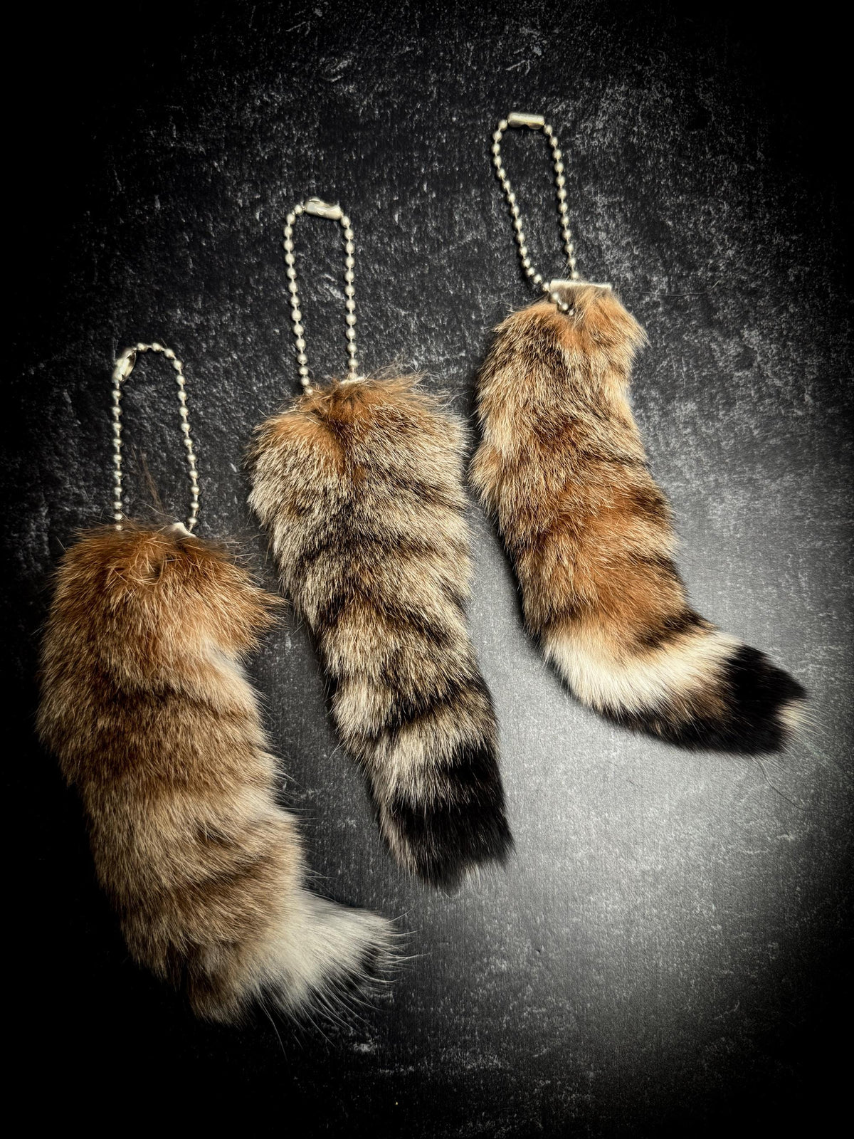 Lynx Tail