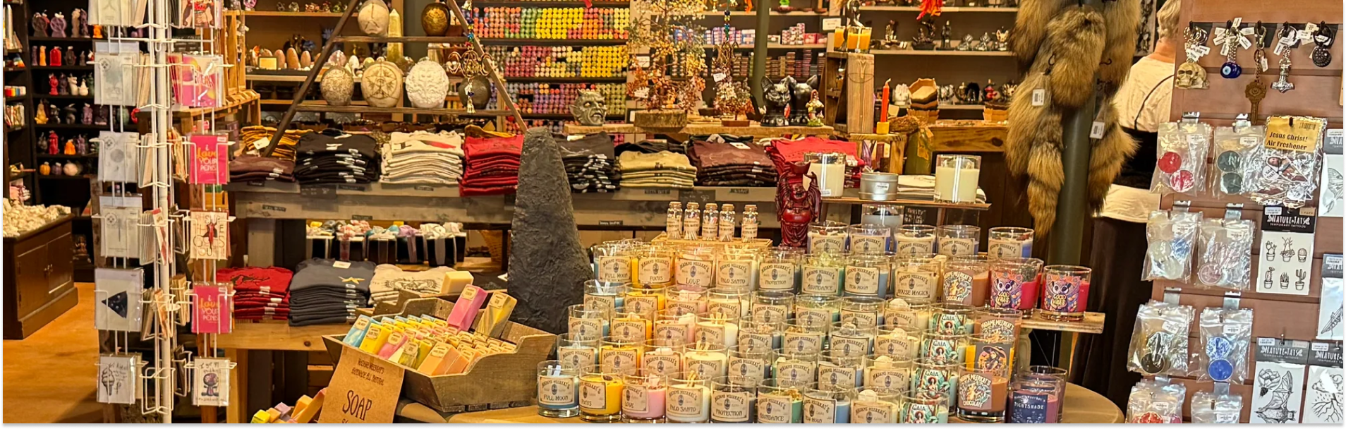 Madame Meerkat's Cabinet of Curiosities - Photo 3