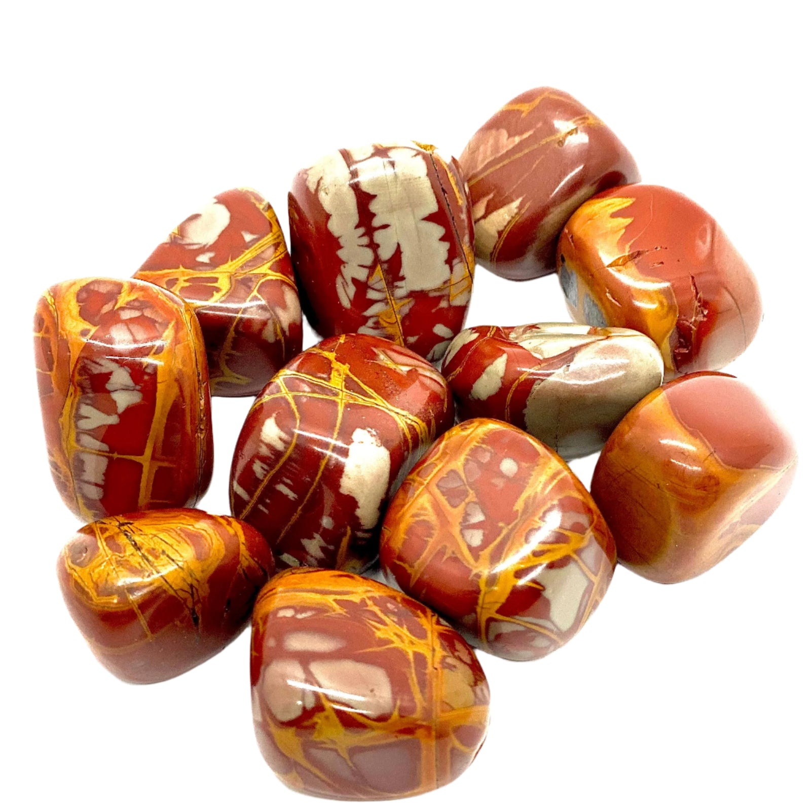 Noreena Jasper Tumbled