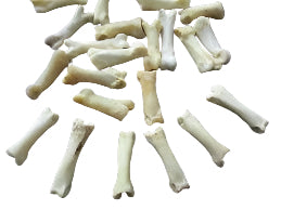 Coyote Toe Bone