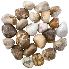 Spotted Agate Tumbled