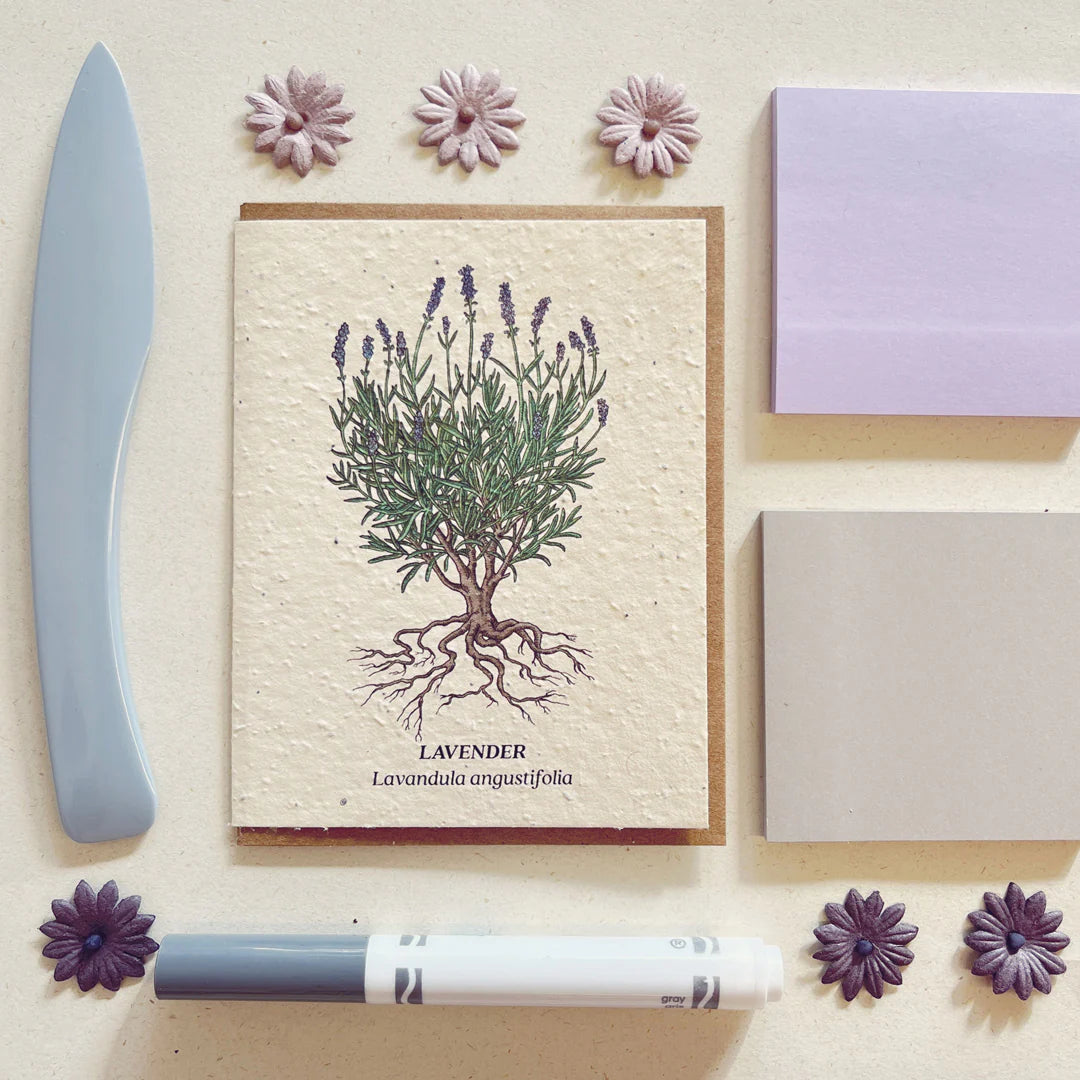 Plantable Seed Card - Lavender bundle