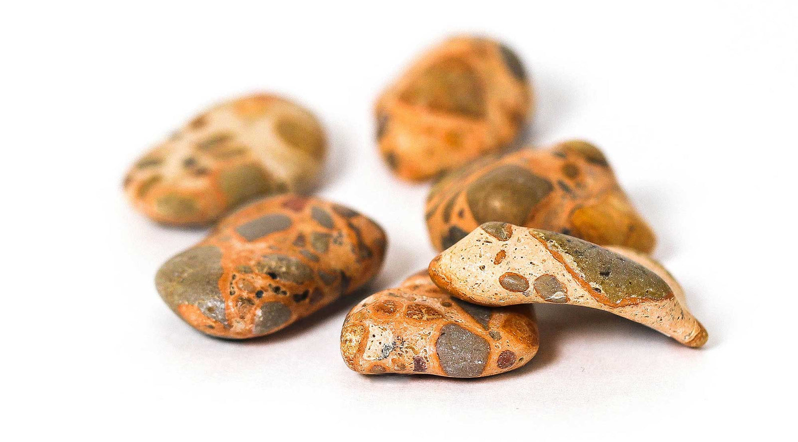 Leopardite Jasper Tumbled