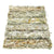 Black Sage (Mugwort) 9" Bundle