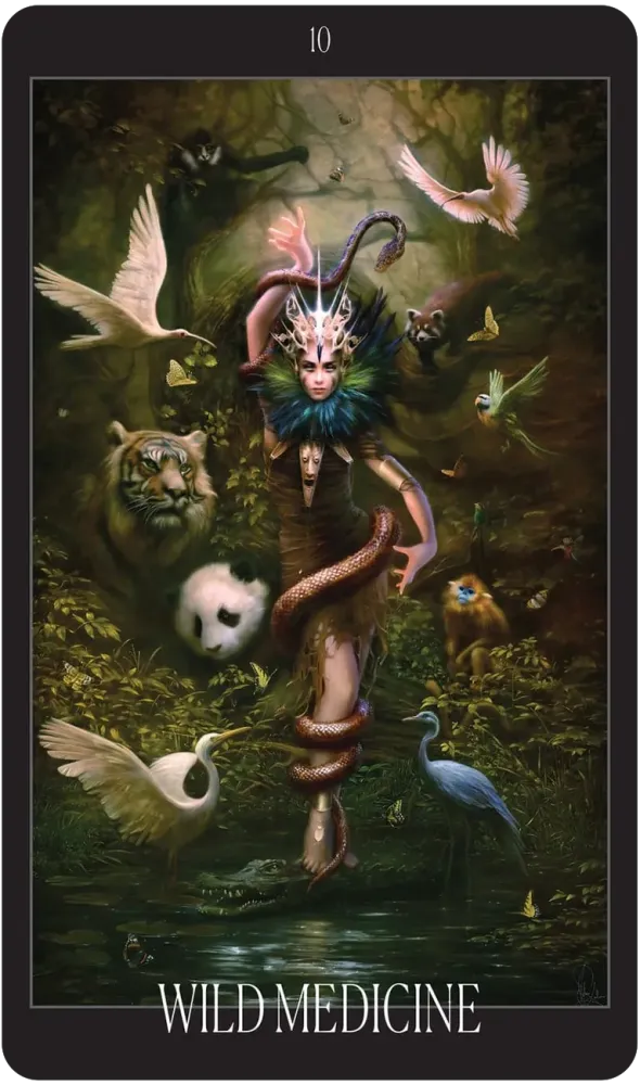 Vampire Fae Oracle Cards