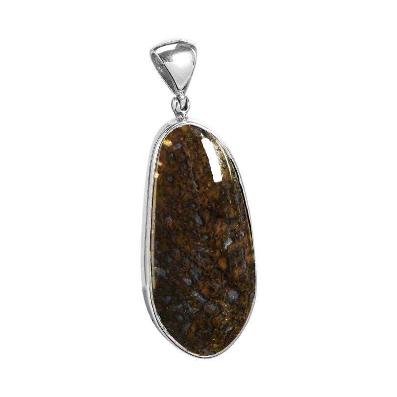 Dinosaur Fossil Sterling Silver Pendant