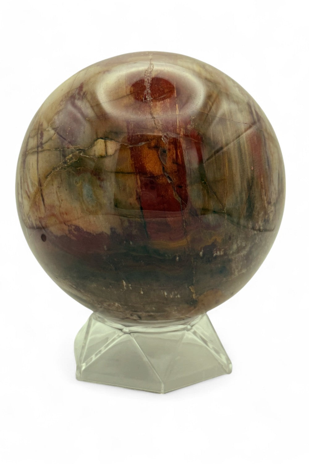 Crystal Sphere Petrified Wood