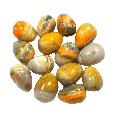 Bumblebee Jasper Tumbled