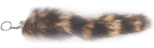 Racoon Tail
