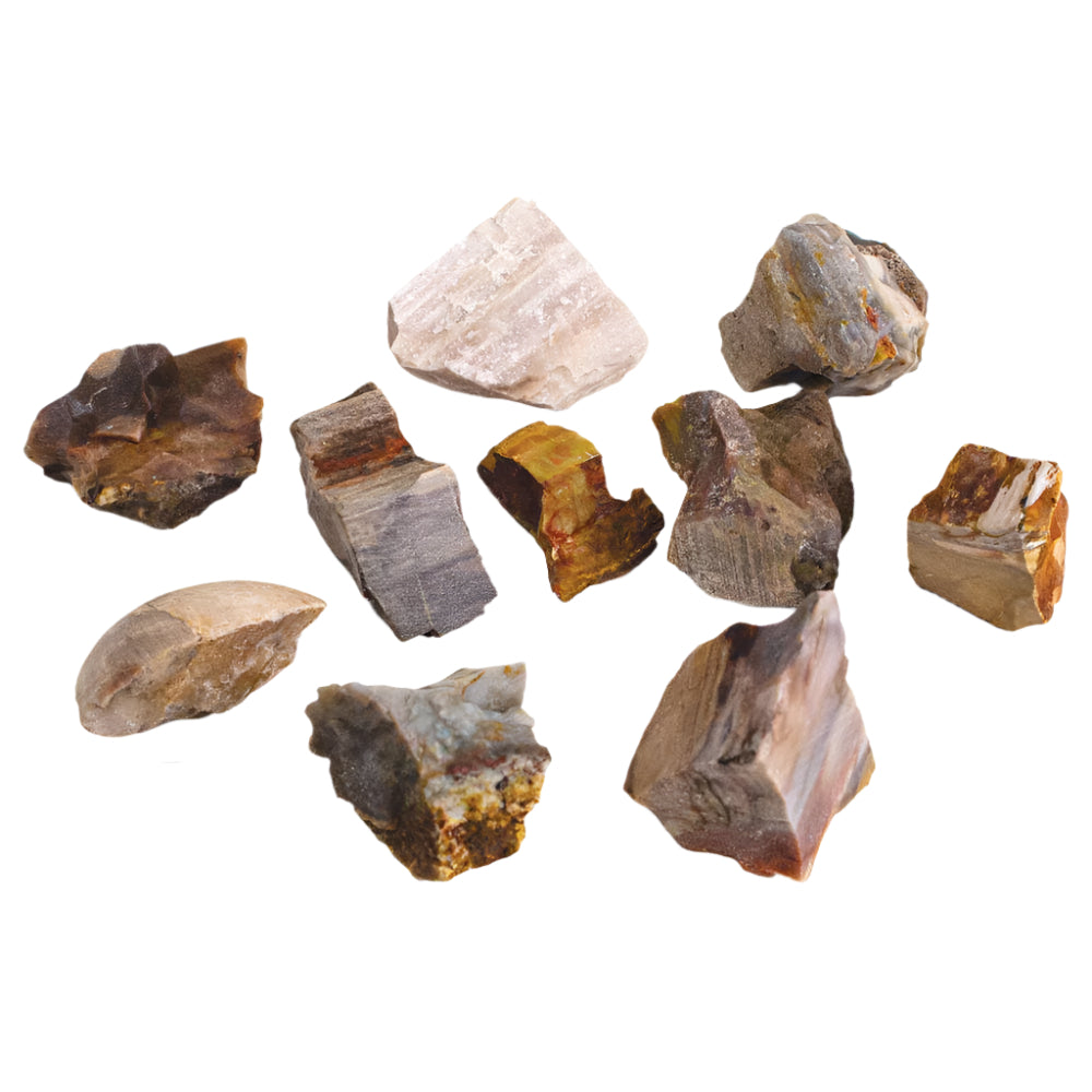 Petrified Wood Rough