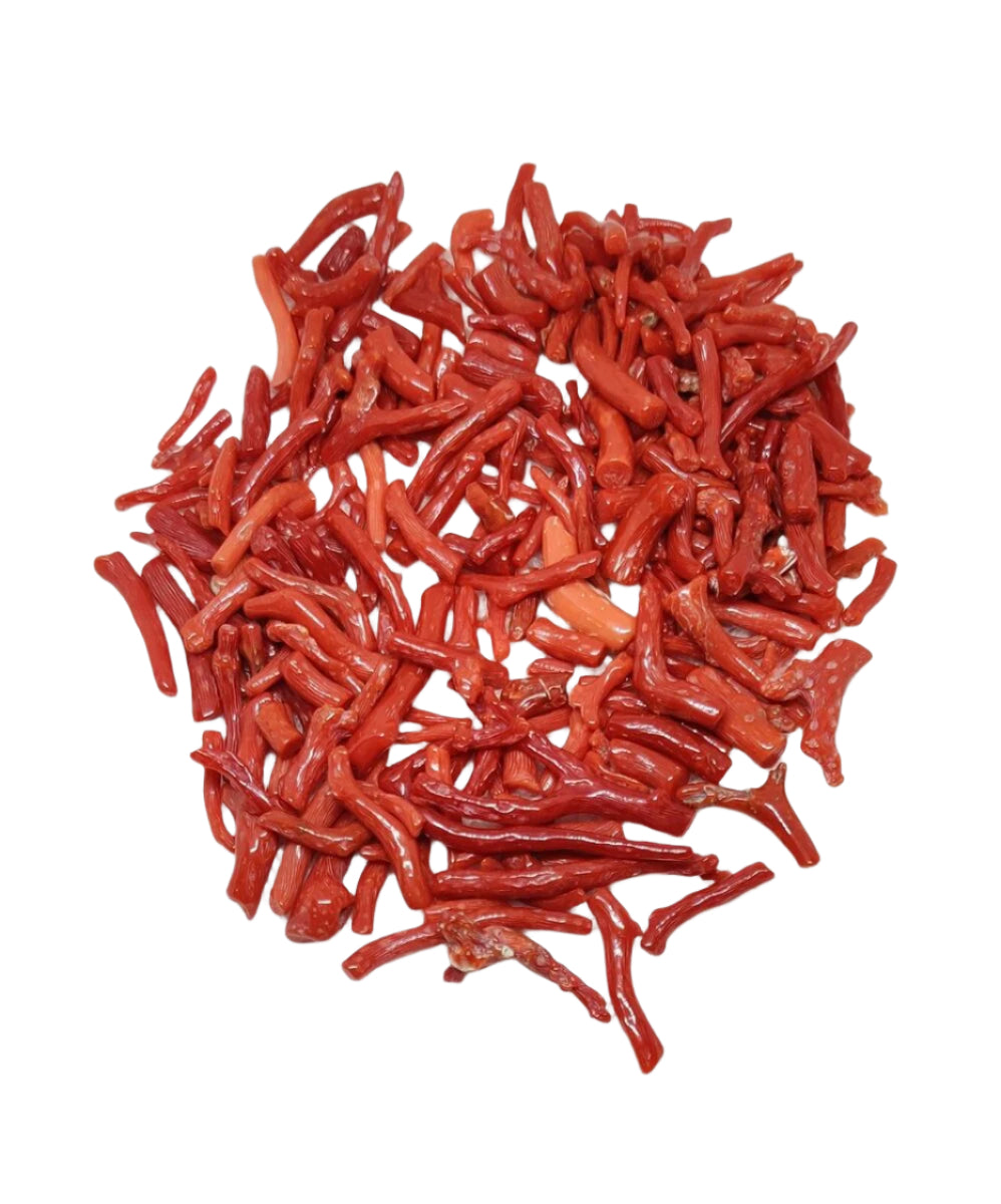 Red Coral "Pepper" Fossil