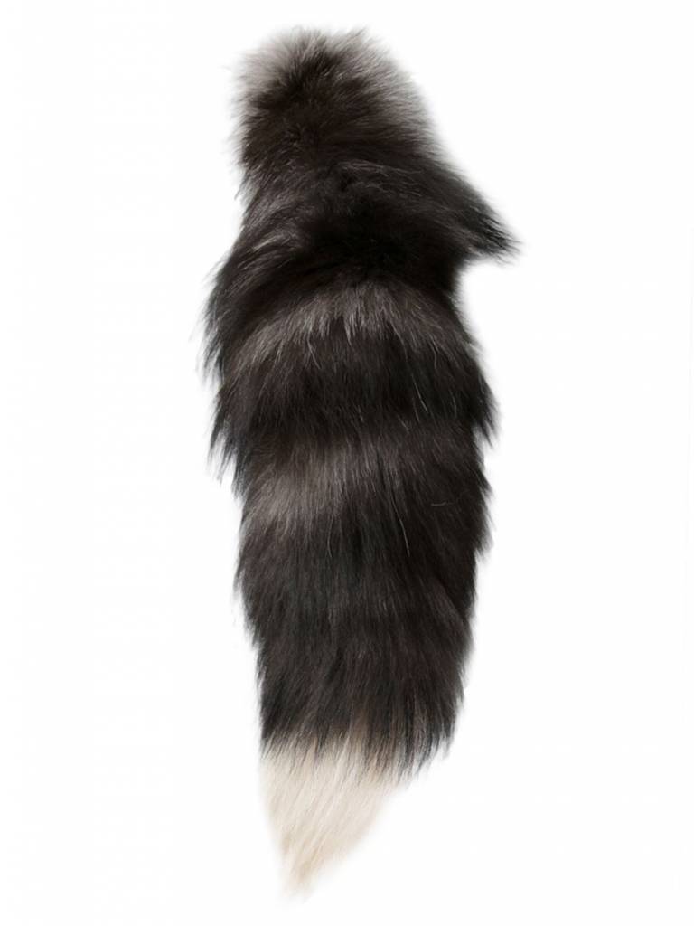 Fox Tail
