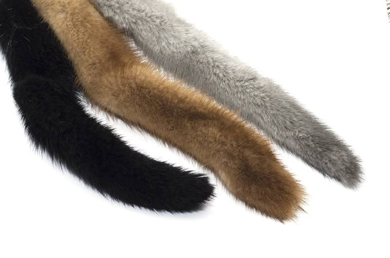 Mink Tail
