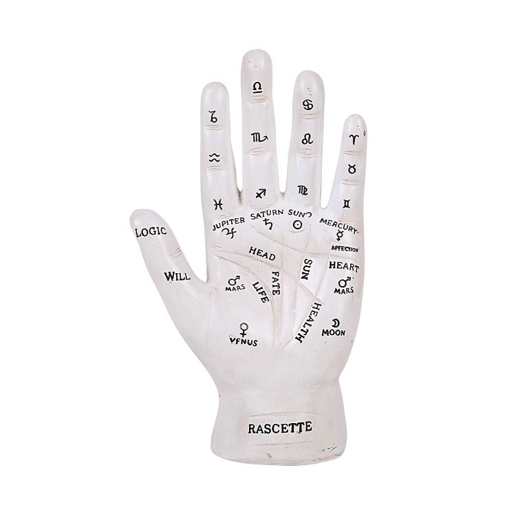 Palmistry Hand White