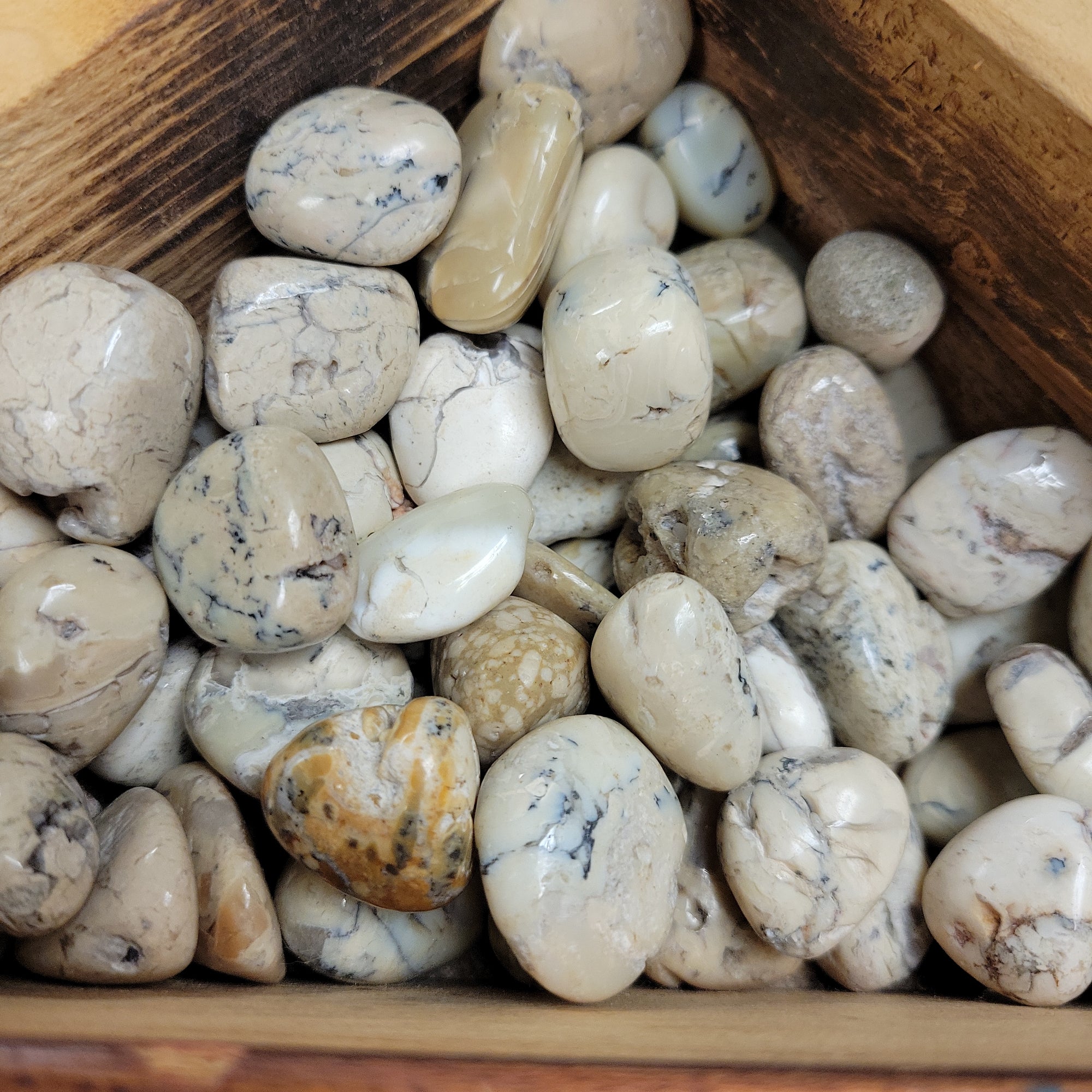 Opal Shasta Tumbled