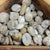 Opal Shasta Tumbled