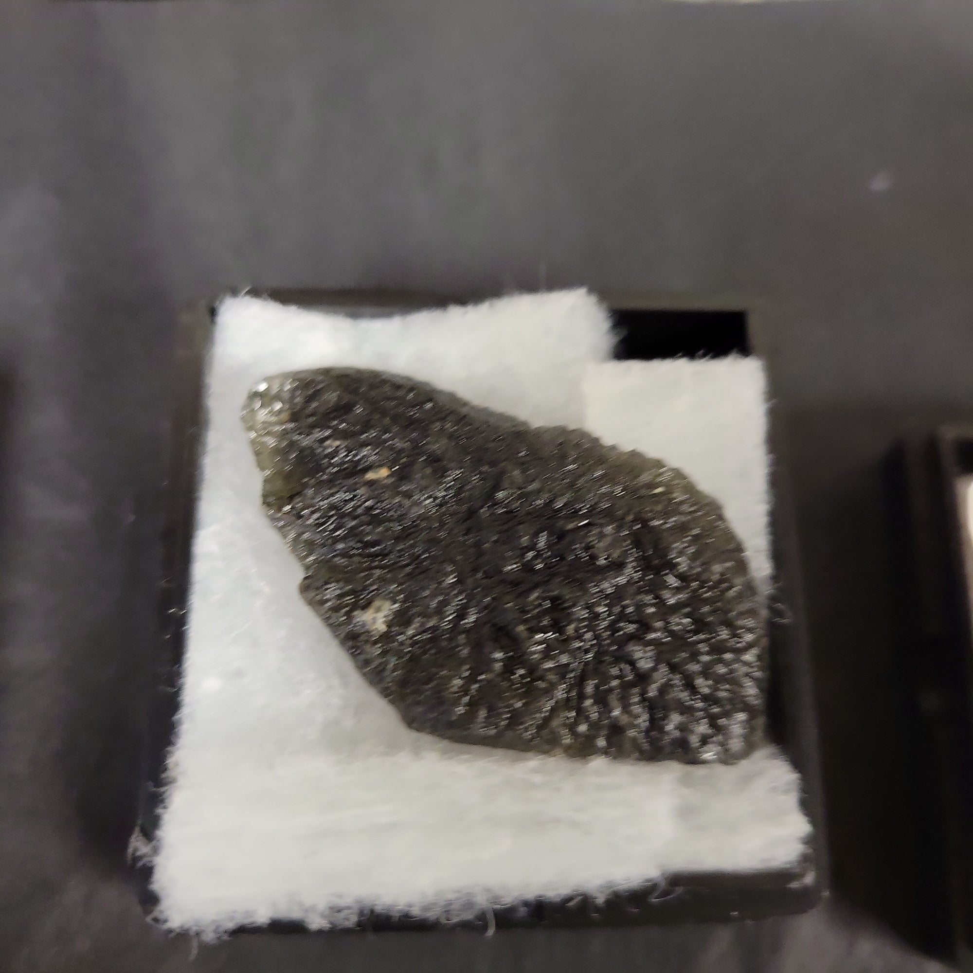 Moldavite Specimens