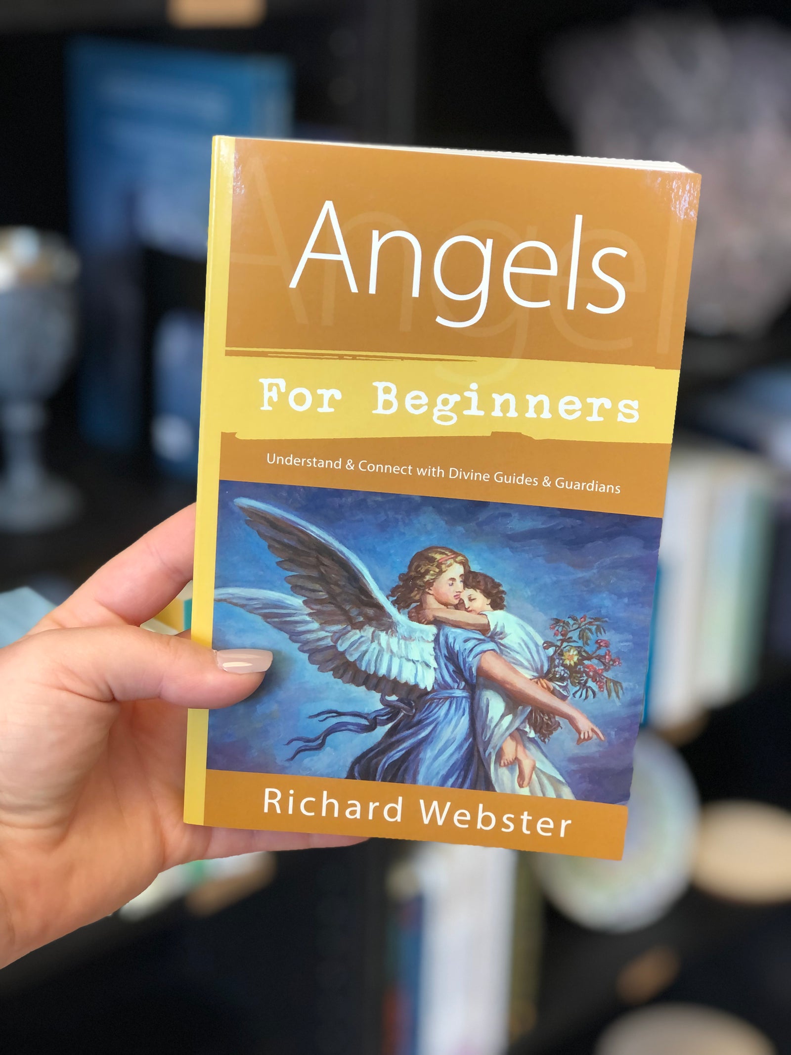 Angels for Beginners - Webster