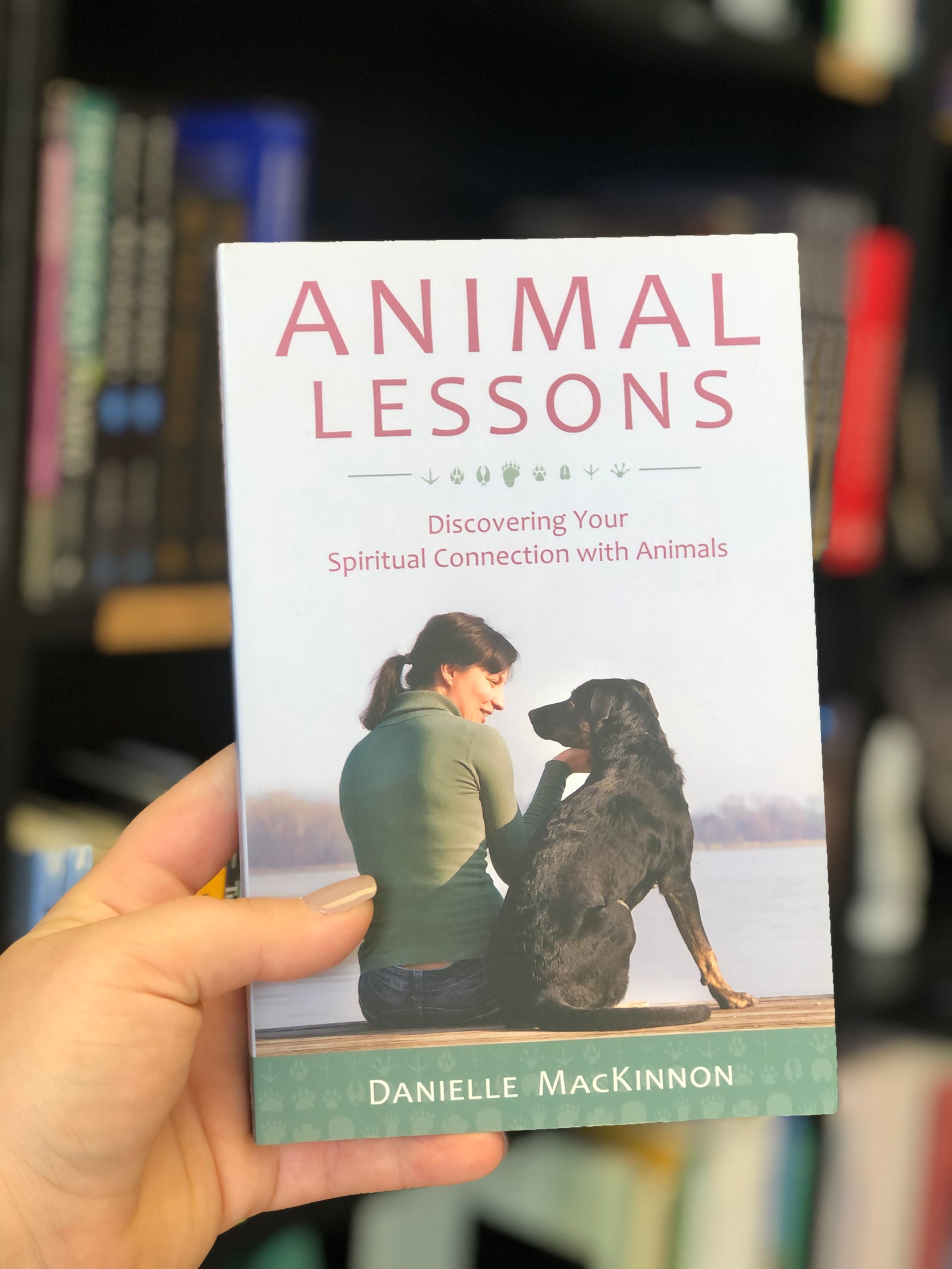 Animal Lessons - MacKinnon