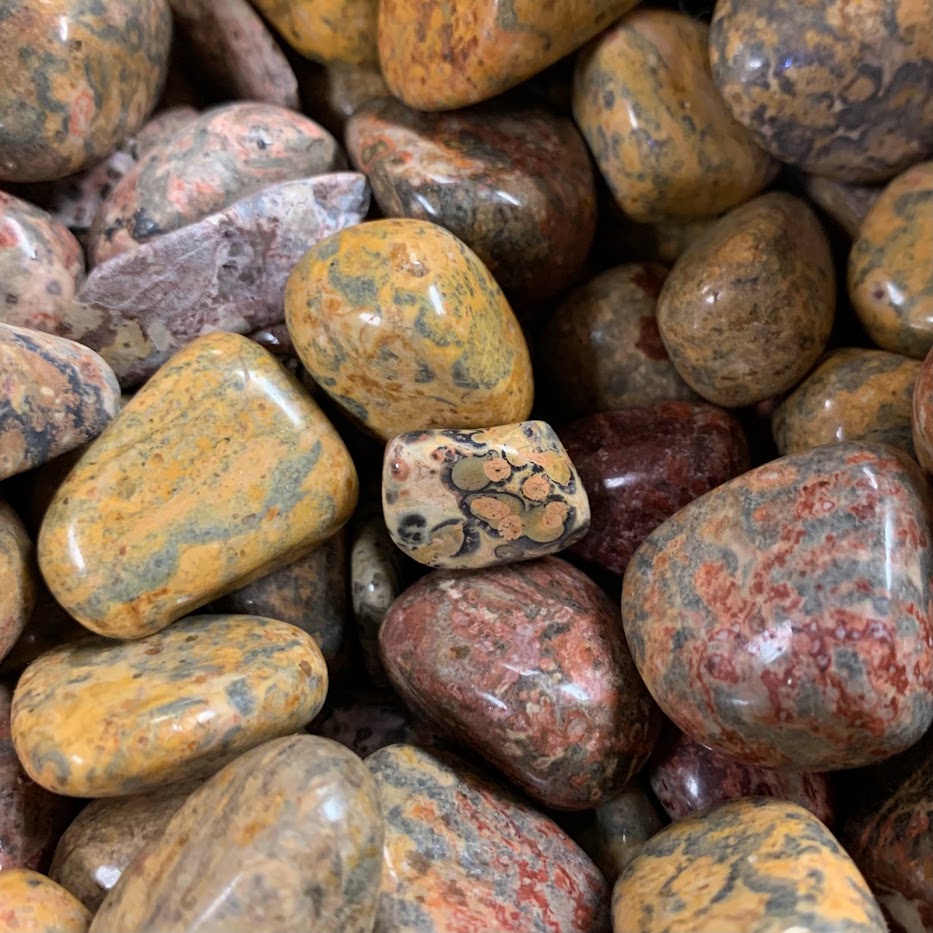 Leopardite Jasper Tumbled