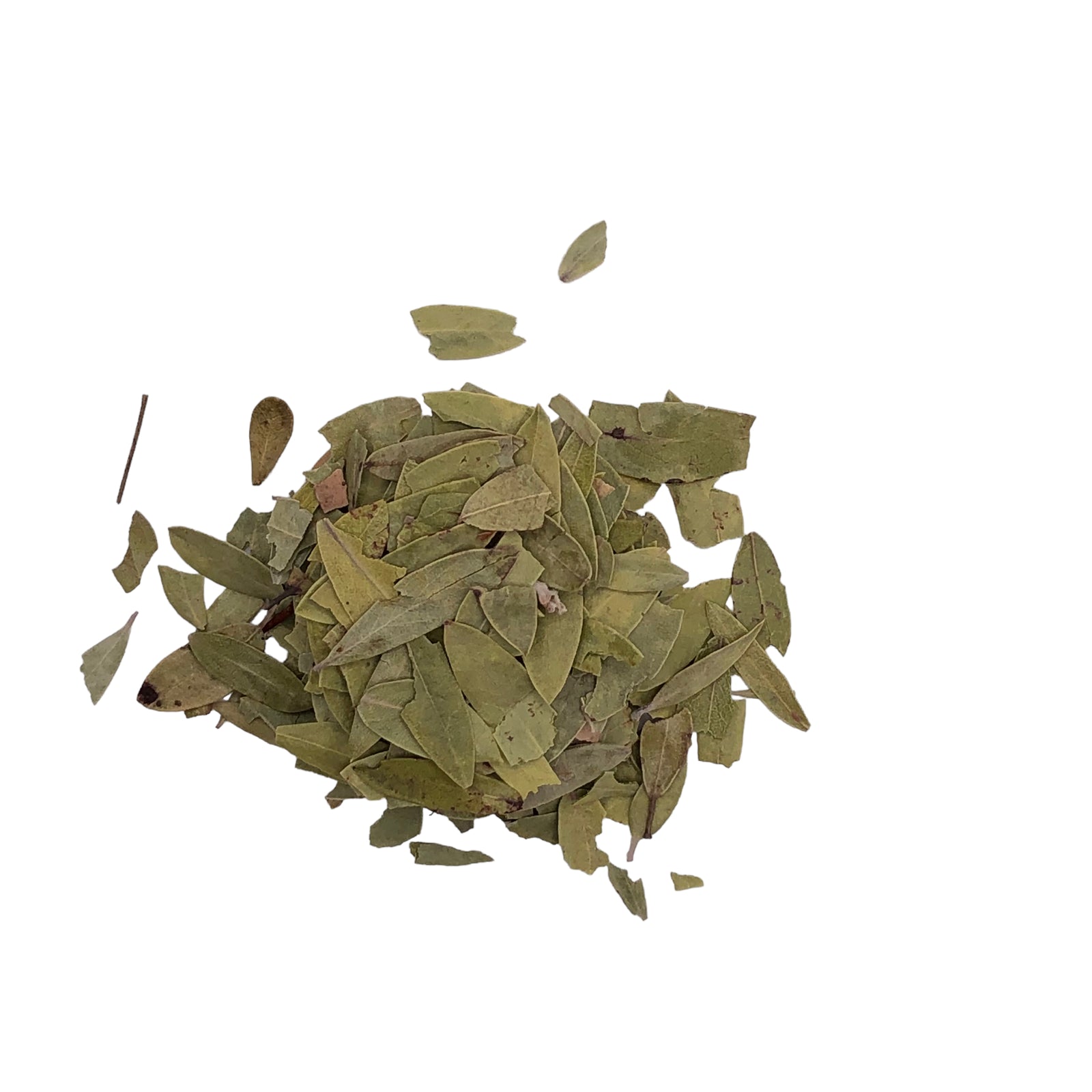 Uva Ursi Leaf 1/2oz